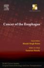 Image for Cancer of the Esophagus - ECAB