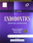 Image for Endodontics : Principles and Practice