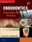 Image for Endodontics: Principles and Practice