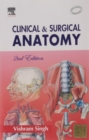 Image for Clinical and surgical anatomy
