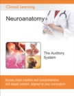 Image for The Auditory System