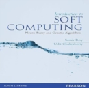 Image for Introduction to Soft Computing: Neuro-Fuzzy and Genetic Algorithms