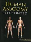 Image for Human Anatomy Illustrated