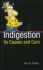 Image for Indigestion : Its Causes &amp; Cure