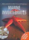 Image for Marine Invertebrates