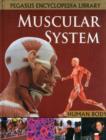 Image for Muscular System