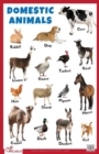 Image for Domestic Animals Educational Chart