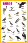 Image for Birds Educational Chart