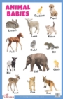Image for Animal Babies Educational Chart