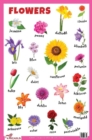Image for Flowers Educational Chart