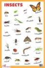 Image for Insects Educational Chart