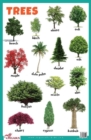 Image for Trees Educational Chart