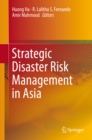 Image for Strategic Disaster Risk Management in Asia