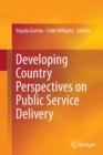Image for Developing Country Perspectives on Public Service Delivery