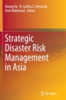 Image for Strategic Disaster Risk Management in Asia