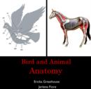 Image for Bird and Animal Anatomy