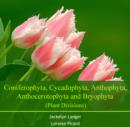 Image for Coniferophyta, Cycadophyta, Anthophyta, Anthocerotophyta and Bryophyta (Plant Divisions)