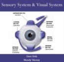 Image for Sensory System &amp; Visual System
