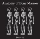 Image for Anatomy of Bone Marrow