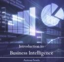 Image for Introduction to Business Intelligence