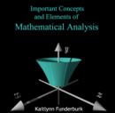 Image for Important Concepts and Elements of Mathematical Analysis