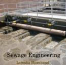 Image for Sewage Engineering