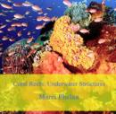 Image for Coral Reef: Underwater Structures