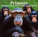 Image for Primates (animal group that contains prosimians and simians)