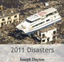 Image for 2011 Disasters