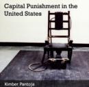 Image for Capital Punishment in the United States