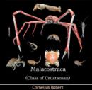 Image for Malacostraca (Class of Crustacean)