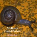 Image for Mollusca (Animal Phylum)
