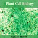 Image for Plant Cell Biology