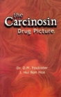 Image for The Carcinosin Drug Picture