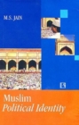 Image for Muslim Political Identity