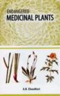 Image for Endangered Medicinal Plants