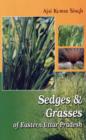 Image for Sedges and Grasses