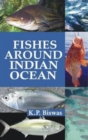 Image for Fishes Around the Indian Ocean
