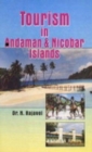 Image for Tourism in Andaman and Nicobar Islands