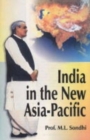 Image for Asia-Pacific : Security Globalisation and Development