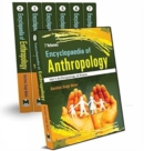 Image for Encyclopaedia of Anthropology
