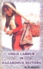 Image for Child Labour in Hazardous Sectors