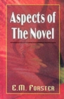 Image for Aspects of the Novel