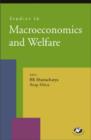 Image for Studies in Macroeconomics and Welfare : Analysis, Reports, Policy Documents