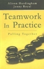 Image for Teamwork in practice  : (pulling together)