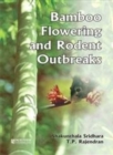 Image for Bamboo Flowering and Rodent Outbreaks