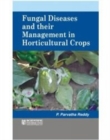 Image for Fungal Diseases and Their Management in Horticultural Crops