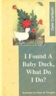 Image for I Found a Baby Duck, What Do I Do?