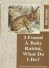 Image for I Found a Baby Rabbit, What Do I Do?
