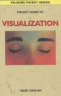 Image for Pocket Guide to Visualization
